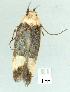 ( - gvc6630-1L)  @12 [ ] Copyright (2004) Unspecified Unspecified