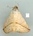 ( - gvc6675-1L)  @13 [ ] Copyright (2004) Unspecified Unspecified