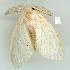  ( - gvc6703-1L)  @12 [ ] Copyright (2004) Unspecified Unspecified