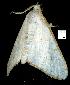  ( - gvc6735-1L)  @12 [ ] Copyright (2004) Unspecified Unspecified