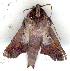  ( - gvc0488-1L)  @13 [ ] Copyright (2004) Unspecified Unspecified