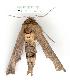  ( - gvc0751-1L)  @14 [ ] Copyright (2004) Unspecified Unspecified