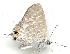  ( - gvc3266-1L)  @13 [ ] Copyright (2004) Unspecified Unspecified