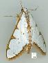  ( - gvc3727-1L)  @13 [ ] Copyright (2004) Unspecified Unspecified