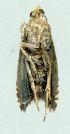  ( - gvc4822-1L)  @12 [ ] Copyright (2004) Unspecified Unspecified