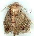  ( - gvc5194-1L)  @12 [ ] Copyright (2004) Unspecified Unspecified