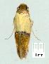  ( - gvc6774-1L)  @13 [ ] Copyright (2004) Unspecified Unspecified