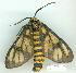  ( - gvc6816-1L)  @12 [ ] Copyright (2004) Unspecified Unspecified