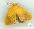  ( - gvc6848-1L)  @13 [ ] Copyright (2004) Unspecified Unspecified