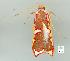  ( - gvc6876-1L)  @12 [ ] Copyright (2004) Unspecified Unspecified