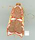  ( - gvc6877-1L)  @12 [ ] Copyright (2004) Unspecified Unspecified