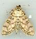  ( - gvc6903-1L)  @13 [ ] Copyright (2004) Unspecified Unspecified