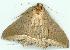  ( - gvc6911-1L)  @13 [ ] Copyright (2004) Unspecified Unspecified