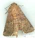  ( - gvc6913-1L)  @13 [ ] Copyright (2004) Unspecified Unspecified