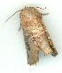  ( - gvc6914-1L)  @13 [ ] Copyright (2004) Unspecified Unspecified