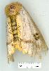  ( - gvc6918-1L)  @12 [ ] Copyright (2004) Unspecified Unspecified