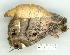  ( - gvc6920-1L)  @13 [ ] Copyright (2004) Unspecified Unspecified