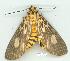  ( - gvc6959-1L)  @13 [ ] Copyright (2004) Unspecified Unspecified