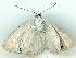  ( - gvc6976-1L)  @12 [ ] Copyright (2004) Unspecified Unspecified
