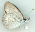  ( - gvc6977-1L)  @12 [ ] Copyright (2004) Unspecified Unspecified