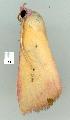  ( - gvc7089-1L)  @12 [ ] Copyright (2004) Unspecified Unspecified