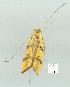  ( - gvc7100-1L)  @12 [ ] Copyright (2004) Unspecified Unspecified
