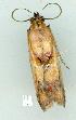  ( - gvc7146-1L)  @12 [ ] Copyright (2004) Unspecified Unspecified