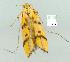  ( - gvc7168-1L)  @12 [ ] Copyright (2004) Unspecified Unspecified
