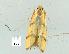  ( - gvc7170-1L)  @12 [ ] Copyright (2004) Unspecified Unspecified