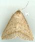  ( - gvc7197-1L)  @13 [ ] Copyright (2004) Unspecified Unspecified