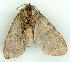  ( - gvc7203-1L)  @12 [ ] Copyright (2004) Unspecified Unspecified