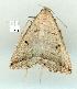  ( - gvc7207-1L)  @13 [ ] Copyright (2004) Unspecified Unspecified