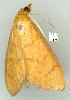  ( - gvc7235-1L)  @13 [ ] Copyright (2004) Unspecified Unspecified