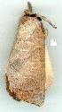  ( - gvc7248-1L)  @13 [ ] Copyright (2004) Unspecified Unspecified