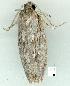  ( - gvc7264-1L)  @12 [ ] Copyright (2004) Unspecified Unspecified