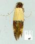  ( - gvc7272-1L)  @13 [ ] Copyright (2004) Unspecified Unspecified