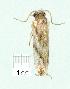  ( - gvc7288-1L)  @12 [ ] Copyright (2004) Unspecified Unspecified