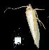  ( - gvc7336-1L)  @13 [ ] Copyright (2004) Unspecified Unspecified