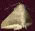  ( - gvc7340-1L)  @13 [ ] Copyright (2004) Unspecified Unspecified