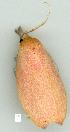  ( - gvc7343-1L)  @12 [ ] Copyright (2004) Unspecified Unspecified