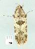  ( - gvc7356-1L)  @12 [ ] Copyright (2004) Unspecified Unspecified