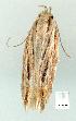  ( - gvc7388-1L)  @12 [ ] Copyright (2004) Unspecified Unspecified