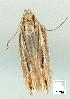  ( - gvc7389-1L)  @12 [ ] Copyright (2004) Unspecified Unspecified