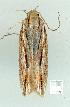  ( - gvc7390-1L)  @12 [ ] Copyright (2004) Unspecified Unspecified