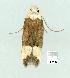  ( - gvc7430-1L)  @12 [ ] Copyright (2004) Unspecified Unspecified