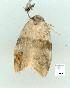  ( - gvc7433-1L)  @13 [ ] Copyright (2004) Unspecified Unspecified