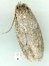  ( - gvc7443-1L)  @12 [ ] Copyright (2004) Unspecified Unspecified