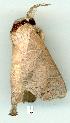  ( - gvc7458-1L)  @13 [ ] Copyright (2004) Unspecified Unspecified