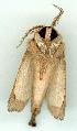  ( - gvc7458-1L)  @13 [ ] Copyright (2004) Unspecified Unspecified
