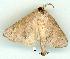  ( - gvc7480-1L)  @13 [ ] Copyright (2004) Unspecified Unspecified